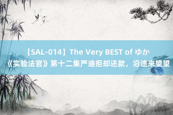 【SAL-014】The Very BEST of ゆか 《实验法官》第十二集严迪拒却还款，沿途来望望