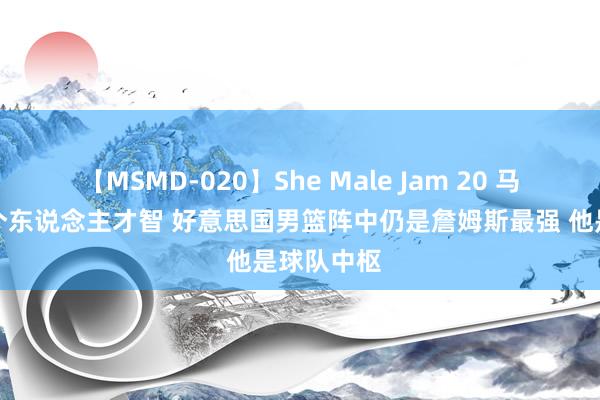 【MSMD-020】She Male Jam 20 马健：单论个东说念主才智 好意思国男篮阵中仍是詹姆斯最强 他是球队中枢