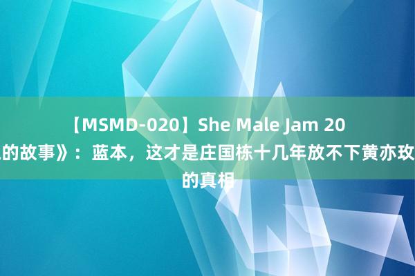 【MSMD-020】She Male Jam 20 《玫瑰的故事》：蓝本，这才是庄国栋十几年放不下黄亦玫的真相