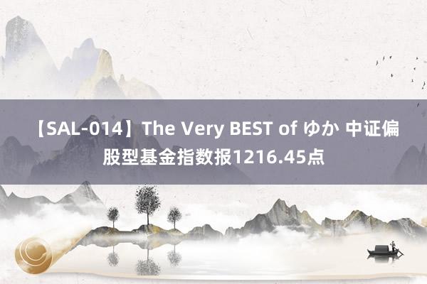 【SAL-014】The Very BEST of ゆか 中证偏股型基金指数报1216.45点