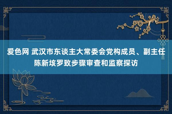 爱色网 武汉市东谈主大常委会党构成员、副主任陈新垓罗致步骤审查和监察探访