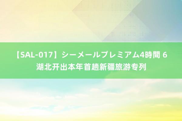 【SAL-017】シーメールプレミアム4時間 6 湖北开出本年首趟新疆旅游专列