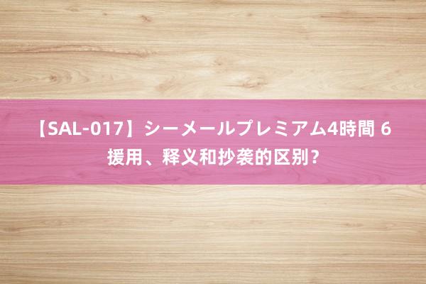 【SAL-017】シーメールプレミアム4時間 6 援用、释义和抄袭的区别？