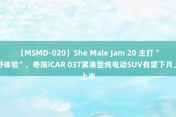 【MSMD-020】She Male Jam 20 主打“越野体验”，奇瑞iCAR 03T紧凑型纯电动SUV有望下月上市