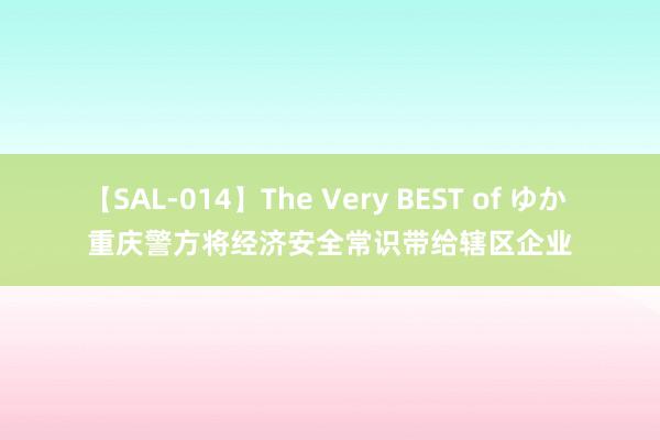 【SAL-014】The Very BEST of ゆか 重庆警方将经济安全常识带给辖区企业