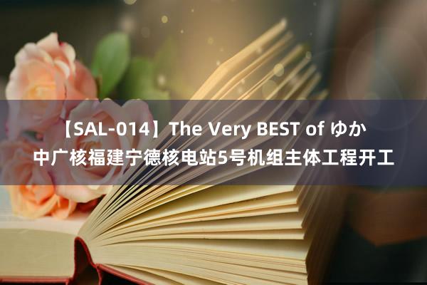 【SAL-014】The Very BEST of ゆか 中广核福建宁德核电站5号机组主体工程开工