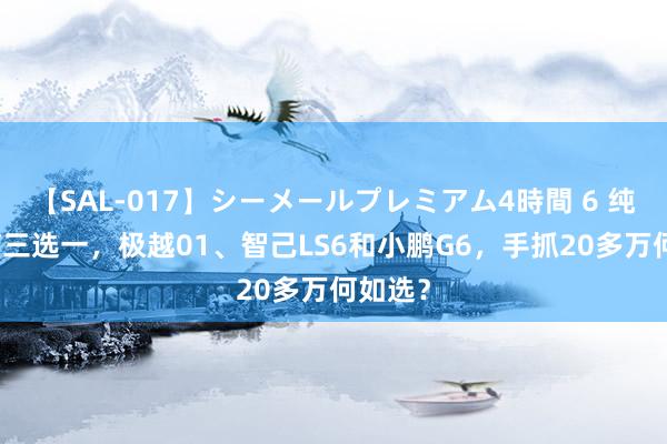 【SAL-017】シーメールプレミアム4時間 6 纯电SUV三选一，极越01、智己LS6和小鹏G6，手抓20多万何如选？