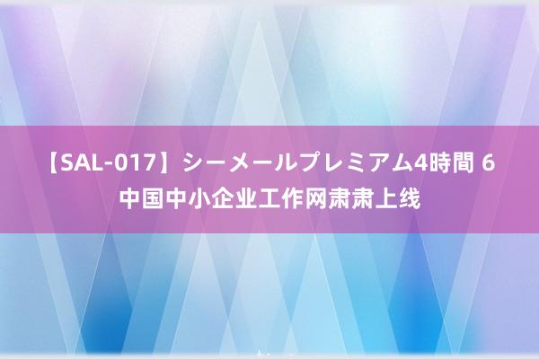 【SAL-017】シーメールプレミアム4時間 6 中国中小企业工作网肃肃上线