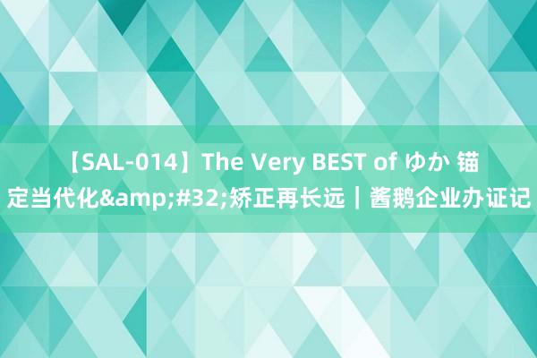 【SAL-014】The Very BEST of ゆか 锚定当代化&#32;矫正再长远｜酱鹅企业办证记