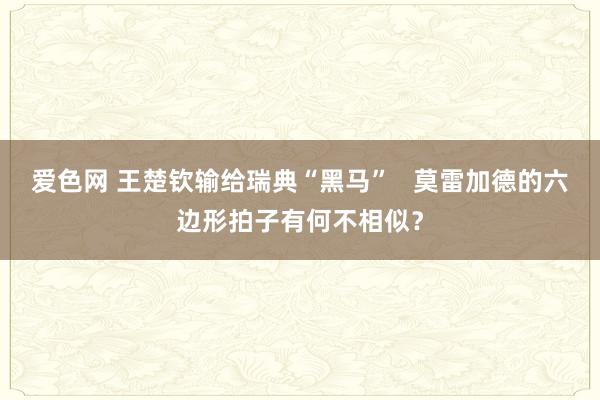 爱色网 王楚钦输给瑞典“黑马”   莫雷加德的六边形拍子有何不相似？