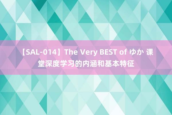 【SAL-014】The Very BEST of ゆか 课堂深度学习的内涵和基本特征