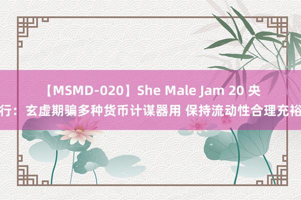 【MSMD-020】She Male Jam 20 央行：玄虚期骗多种货币计谋器用 保持流动性合理充裕