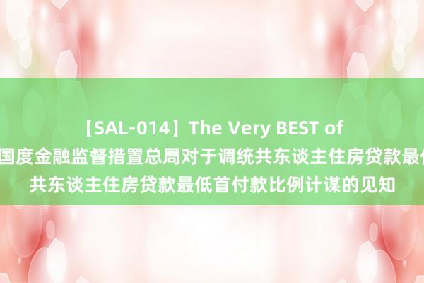 【SAL-014】The Very BEST of ゆか 中国东谈主民银行 国度金融监督措置总局对于调统共东谈主住房贷款最低首付款比例计谋的见知