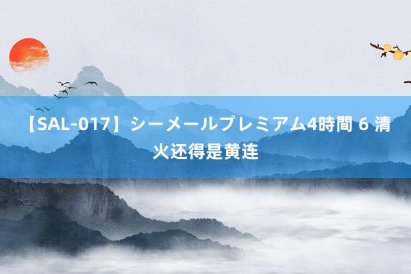 【SAL-017】シーメールプレミアム4時間 6 清火还得是黄连