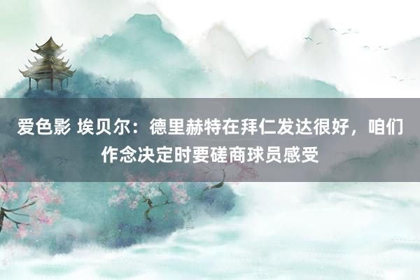 爱色影 埃贝尔：德里赫特在拜仁发达很好，咱们作念决定时要磋商球员感受