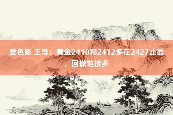 爱色影 王导：黄金2410和2412多在2427止盈，回撤链接多