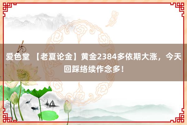 爱色堂 【老夏论金】黄金2384多依期大涨，今天回踩络续作念多！