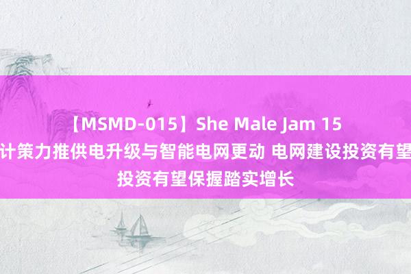 【MSMD-015】She Male Jam 15 【风口研报】计策力推供电升级与智能电网更动 电网建设投资有望保握踏实增长