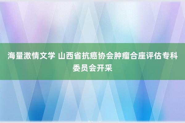 海量激情文学 山西省抗癌协会肿瘤合座评估专科委员会开采