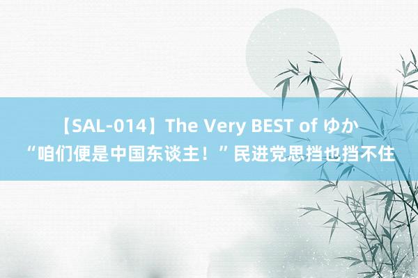 【SAL-014】The Very BEST of ゆか “咱们便是中国东谈主！”民进党思挡也挡不住