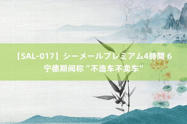 【SAL-017】シーメールプレミアム4時間 6 宁德期间称“不造车不卖车”