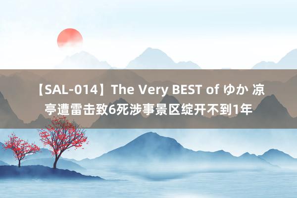 【SAL-014】The Very BEST of ゆか 凉亭遭雷击致6死涉事景区绽开不到1年