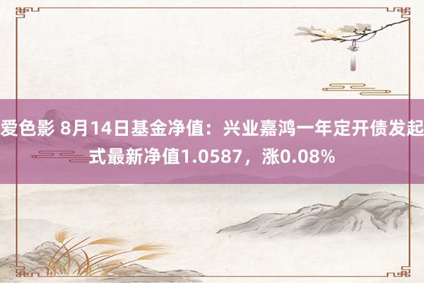 爱色影 8月14日基金净值：兴业嘉鸿一年定开债发起式最新净值1.0587，涨0.08%