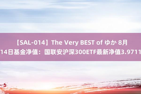 【SAL-014】The Very BEST of ゆか 8月14日基金净值：国联安沪深300ETF最新净值3.9711