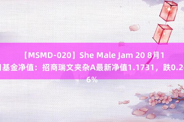 【MSMD-020】She Male Jam 20 8月14日基金净值：招商瑞文夹杂A最新净值1.1731，跌0.26%