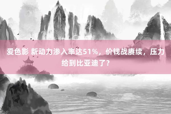 爱色影 新动力渗入率达51%，价钱战赓续，压力给到比亚迪了？