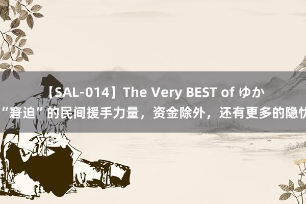 【SAL-014】The Very BEST of ゆか “窘迫”的民间援手力量，资金除外，还有更多的隐忧