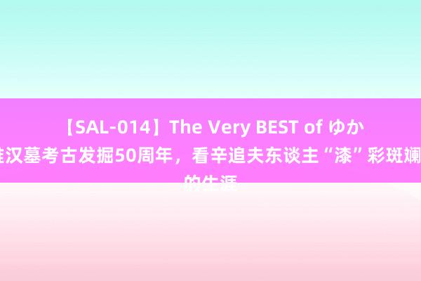 【SAL-014】The Very BEST of ゆか 马王堆汉墓考古发掘50周年，看辛追夫东谈主“漆”彩斑斓的生涯