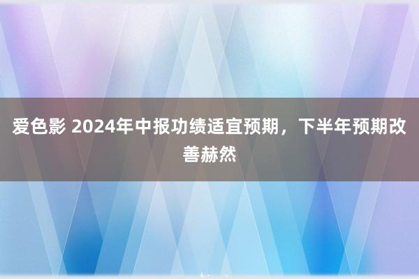 爱色影 2024年中报功绩适宜预期，下半年预期改善赫然