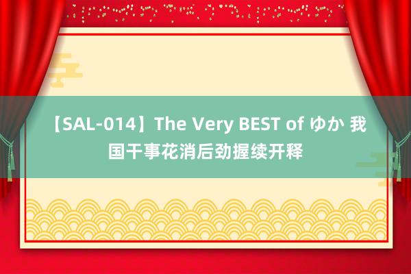 【SAL-014】The Very BEST of ゆか 我国干事花消后劲握续开释