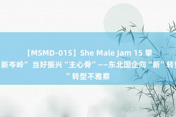 【MSMD-015】She Male Jam 15 攀上科技“新岑岭” 当好振兴“主心骨”——东北国企向“新”转型不雅察