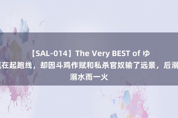 【SAL-014】The Very BEST of ゆか 王勃赢在起跑线，却因斗鸡作赋和私杀官奴输了远景，后溺水而一火