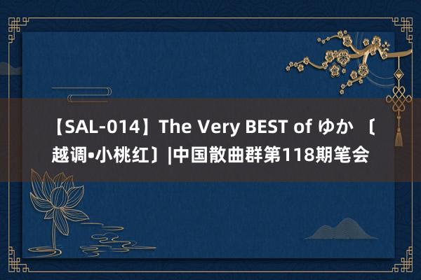 【SAL-014】The Very BEST of ゆか 〔越调•小桃红〕|中国散曲群第118期笔会