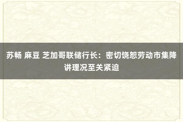 苏畅 麻豆 芝加哥联储行长：密切饶恕劳动市集降讲理况至关紧迫