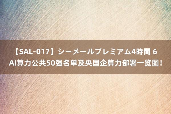 【SAL-017】シーメールプレミアム4時間 6 AI算力公共50强名单及央国企算力部署一览图！