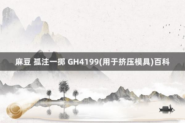 麻豆 孤注一掷 GH4199(用于挤压模具)百科