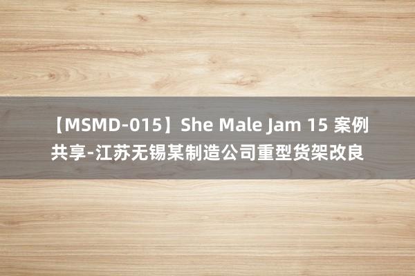 【MSMD-015】She Male Jam 15 案例共享-江苏无锡某制造公司重型货架改良