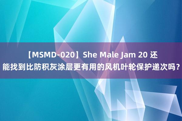 【MSMD-020】She Male Jam 20 还能找到比防积灰涂层更有用的风机叶轮保护递次吗？