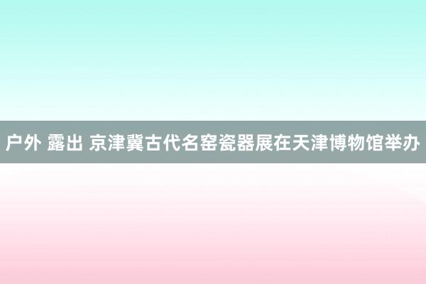 户外 露出 京津冀古代名窑瓷器展在天津博物馆举办