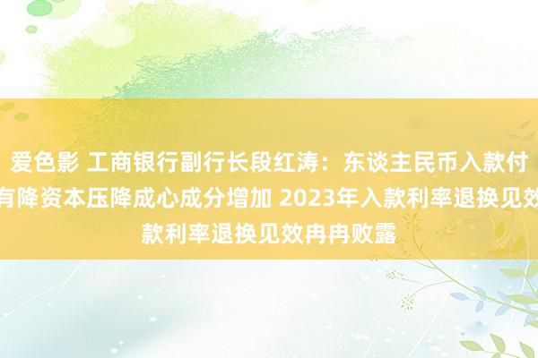 爱色影 工商银行副行长段红涛：东谈主民币入款付息率稳中有降资本压降成心成分增加 2023年入款利率退换见效冉冉败露