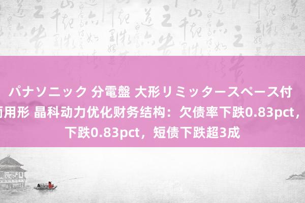 パナソニック 分電盤 大形リミッタースペース付 露出・半埋込両用形 晶科动力优化财务结构：欠债率下跌0.83pct，短债下跌超3成