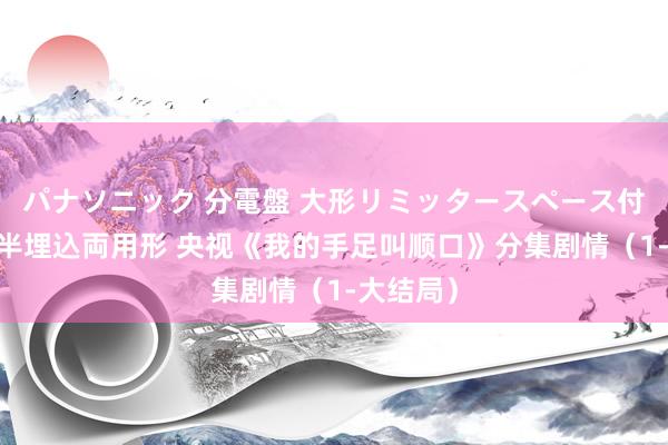 パナソニック 分電盤 大形リミッタースペース付 露出・半埋込両用形 央视《我的手足叫顺口》分集剧情（1-大结局）