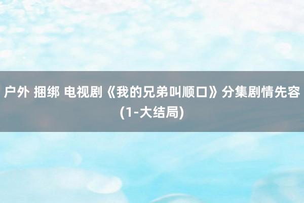 户外 捆绑 电视剧《我的兄弟叫顺口》分集剧情先容(1-大结局)