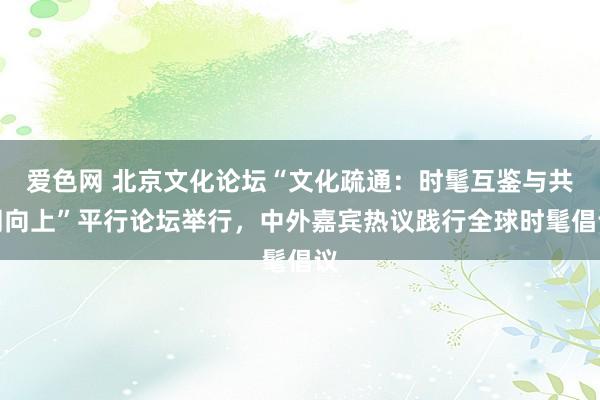 爱色网 北京文化论坛“文化疏通：时髦互鉴与共同向上”平行论坛举行，中外嘉宾热议践行全球时髦倡议