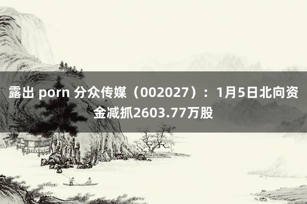 露出 porn 分众传媒（002027）：1月5日北向资金减抓2603.77万股