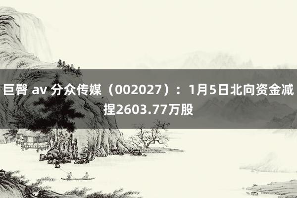 巨臀 av 分众传媒（002027）：1月5日北向资金减捏2603.77万股